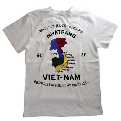画像1: HOUSTON   ベトナム 刺繍 スカTシャツ 