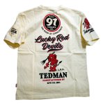 画像6: TEDMAN(テッドマン） 「 ロゴデザイン」 半袖Tシャツ TDSS-509 (6)