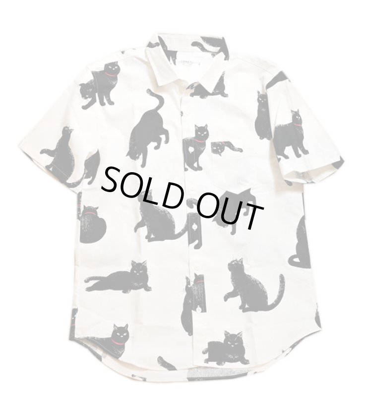 画像1: [ 黒猫 ]  手書き風プリント  半袖袖シャツ  日本製 79416 ホワイト (1)
